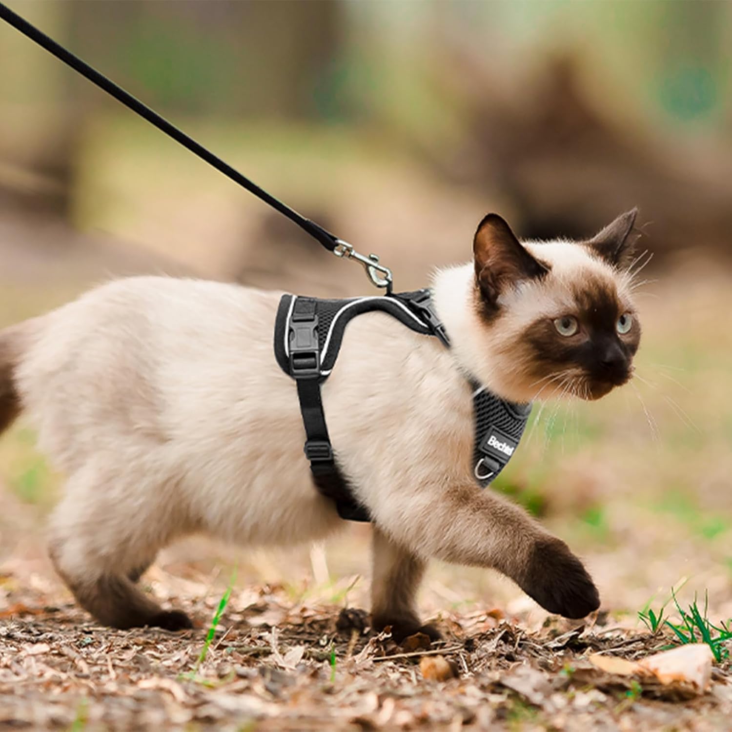 Cat Harness, Cat Harness and Leash for Walking, Adjusted in Four Directions and Breathable Cat Harness for Anti Escape that can be Fitted and Positioned, Reflective Strips Harness, Black, L - Image 6