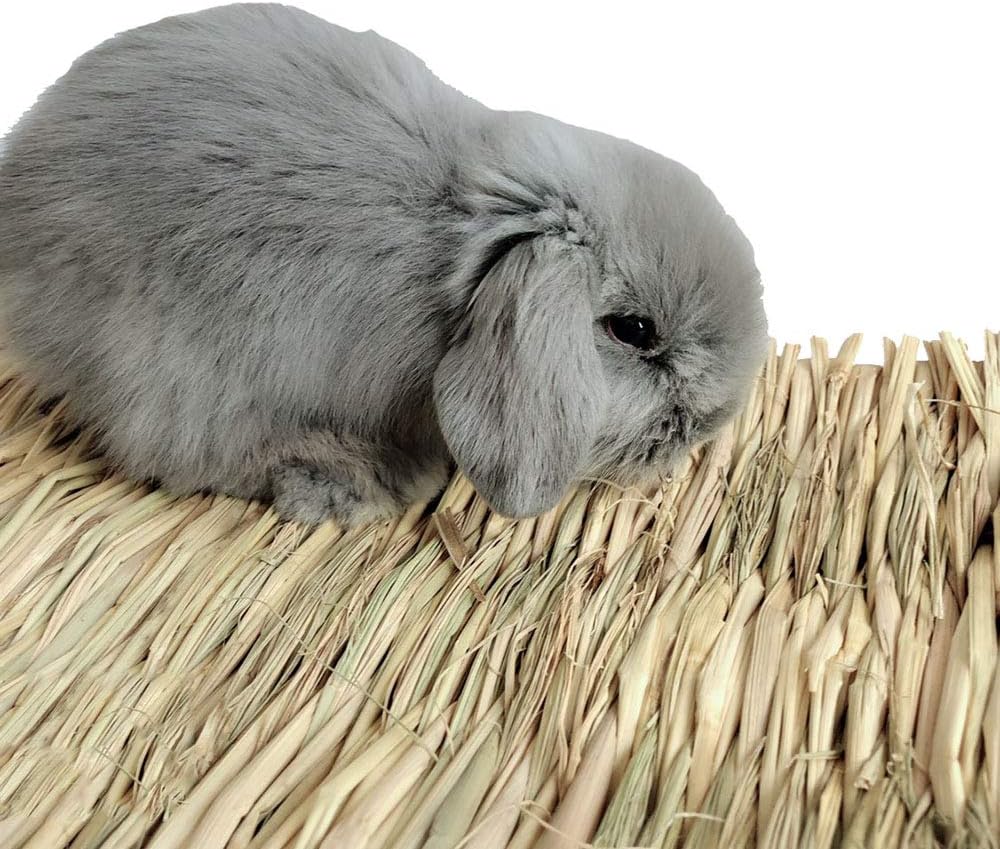 Hamiledyi Grass Mat Woven Bed Mat for Small Animal Bunny Bedding Nest Chew Toy Bed Play Toy for Guinea Pig Parrot Rabbit Hamster Rat(Pack of 3) - Image 3