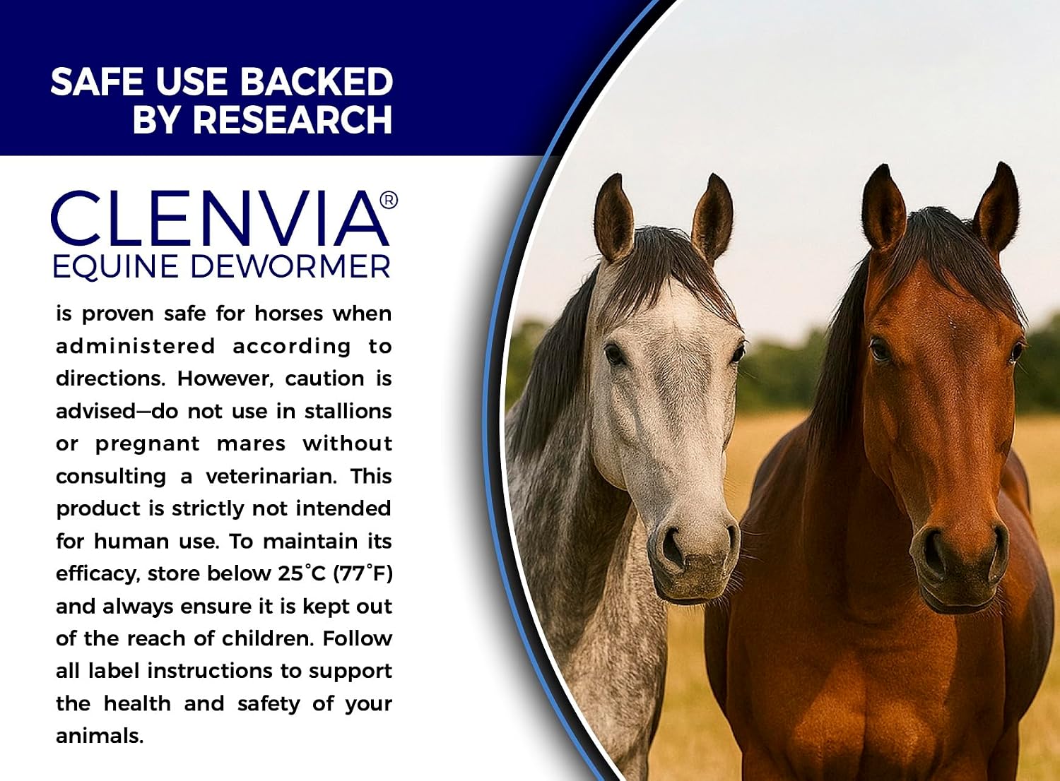 Horse Paste 10% – 4 Pack – 25g Syringes – Oral Deworming Paste for Horses of All Ages – Easy-to-Administer Equine Care - Image 4