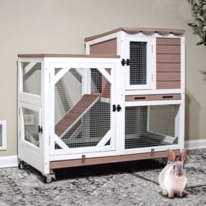 Gutinneen 2-Story Rabbit Hutch with...