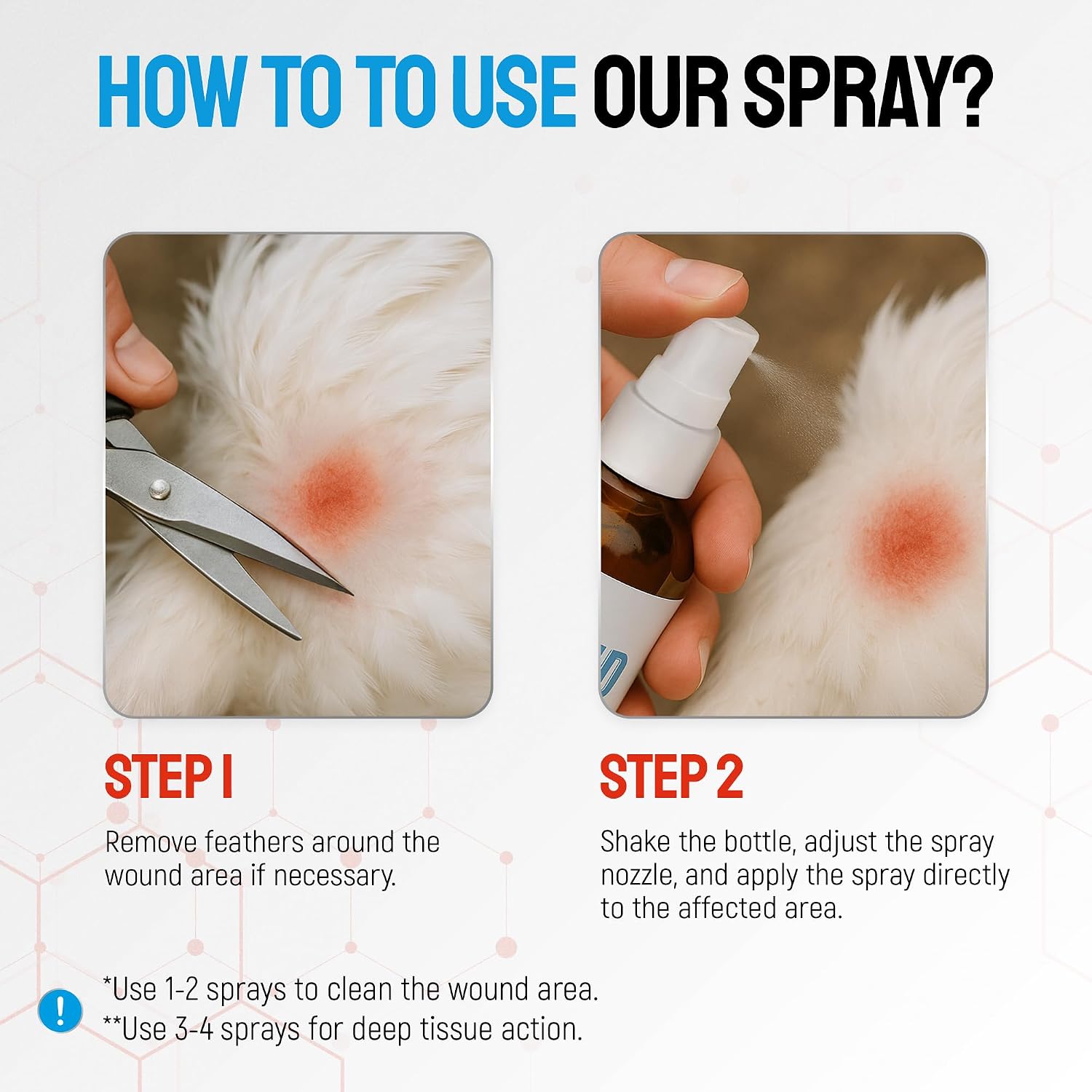 SILVER GRADE Wound Spray for Chicken – Birds & Chicken Antibiotics Alternative to Help with Pecking Sores, Bumblefoot, Cuts – Poultry Spray with Silver – GMOs Free – 4-Oz Bottle - Image 4