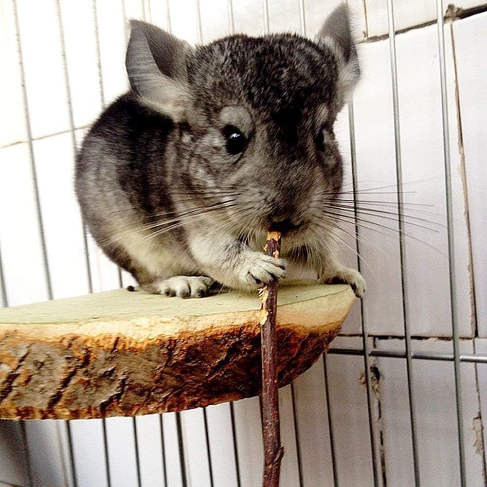 William Craft Apple Sticks Pet Chew Toys Treats for Chinchilla Guinea Pigs Rabbits Squirrel Hamster Bunny - Image 5
