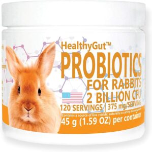 HealthyGut Probiotics for Rabbits D...