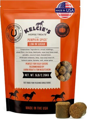 Kelcies Pumpkin Spice Horses Treats...