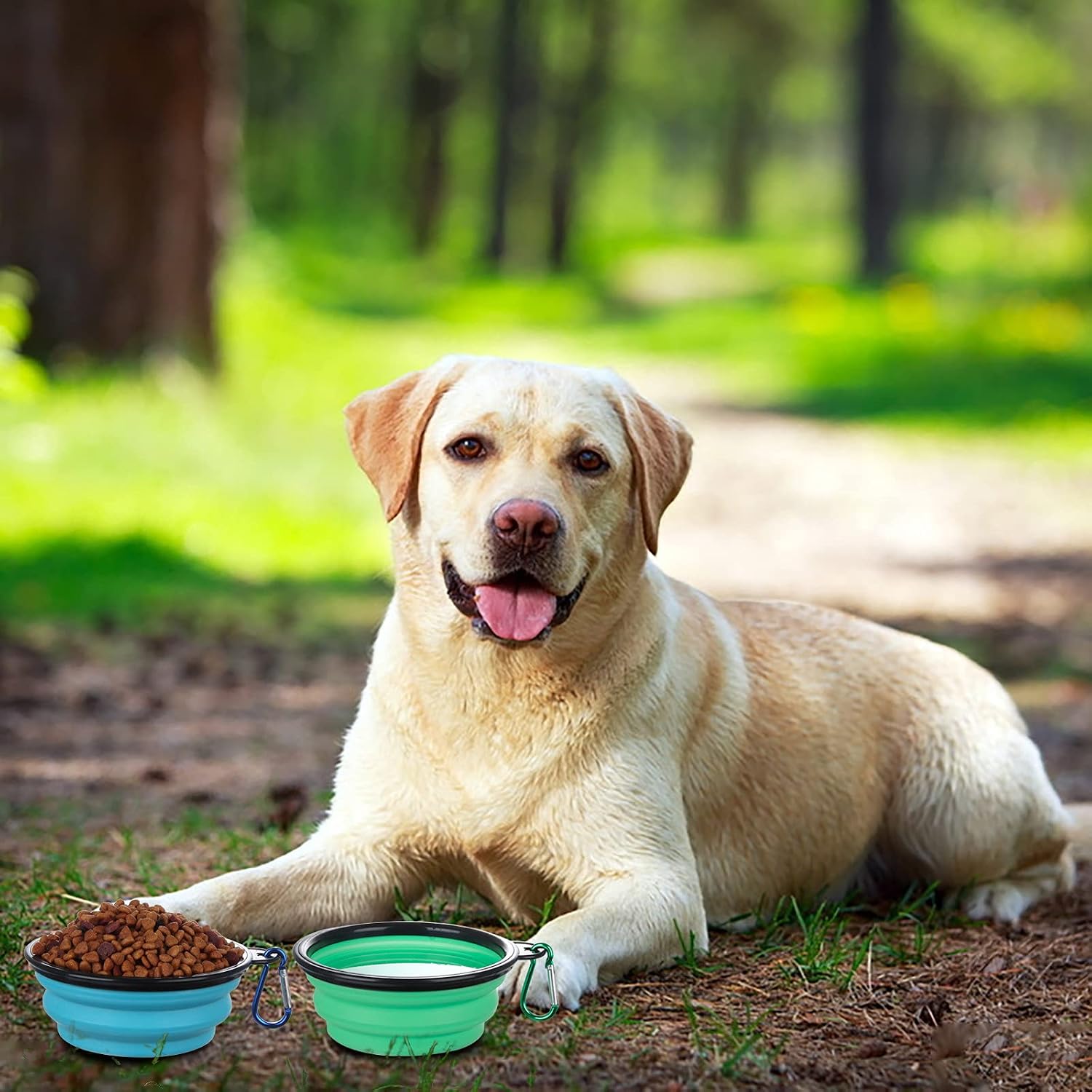 SLSON Collapsible Bowl with Cover Lids,2 Pack Dog Travel Bowls Portable Foldable Cat Water Dish Bowl for Pets Walking Parking Camping (Light Blue and Green, Small) - Image 6