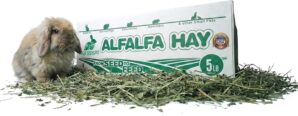 High Desert Alfalfa Hay, Protein Ri...