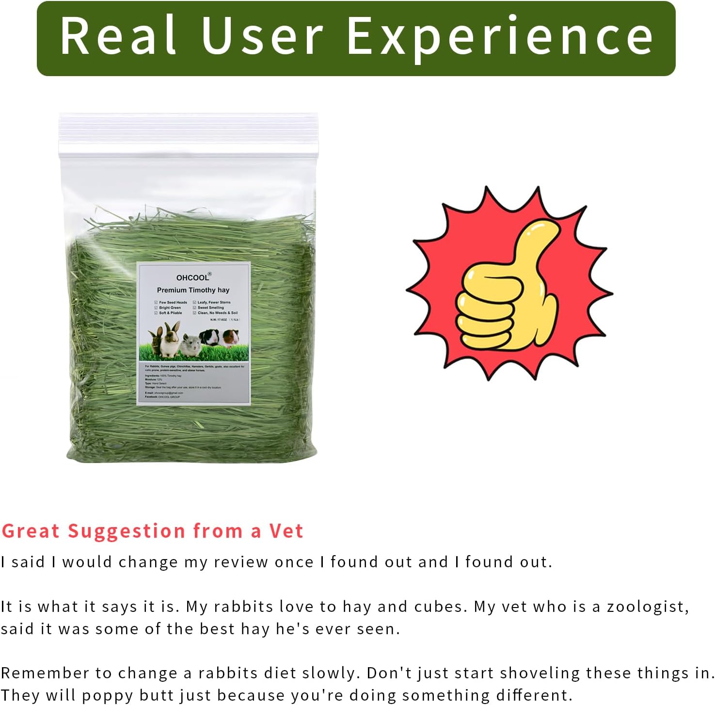 Timothy Hay, 1.1LB Small Pet Feed | Dust-free, natural fresh green hay, suitable for rabbits, guinea pigs, chinchillas, tortoises - Image 4