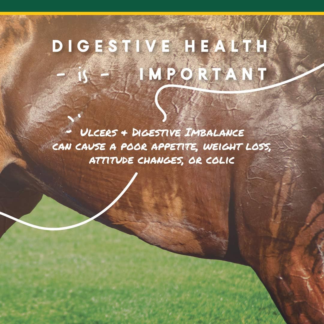 Corta-Flx U-Gard Pellets for Horses – Equine Digestive Health Supplement for Ulcer Prevention and Gastric Support – Nutritional Formula for Gut Health and Comfort – 10 lb Bucket - Image 3