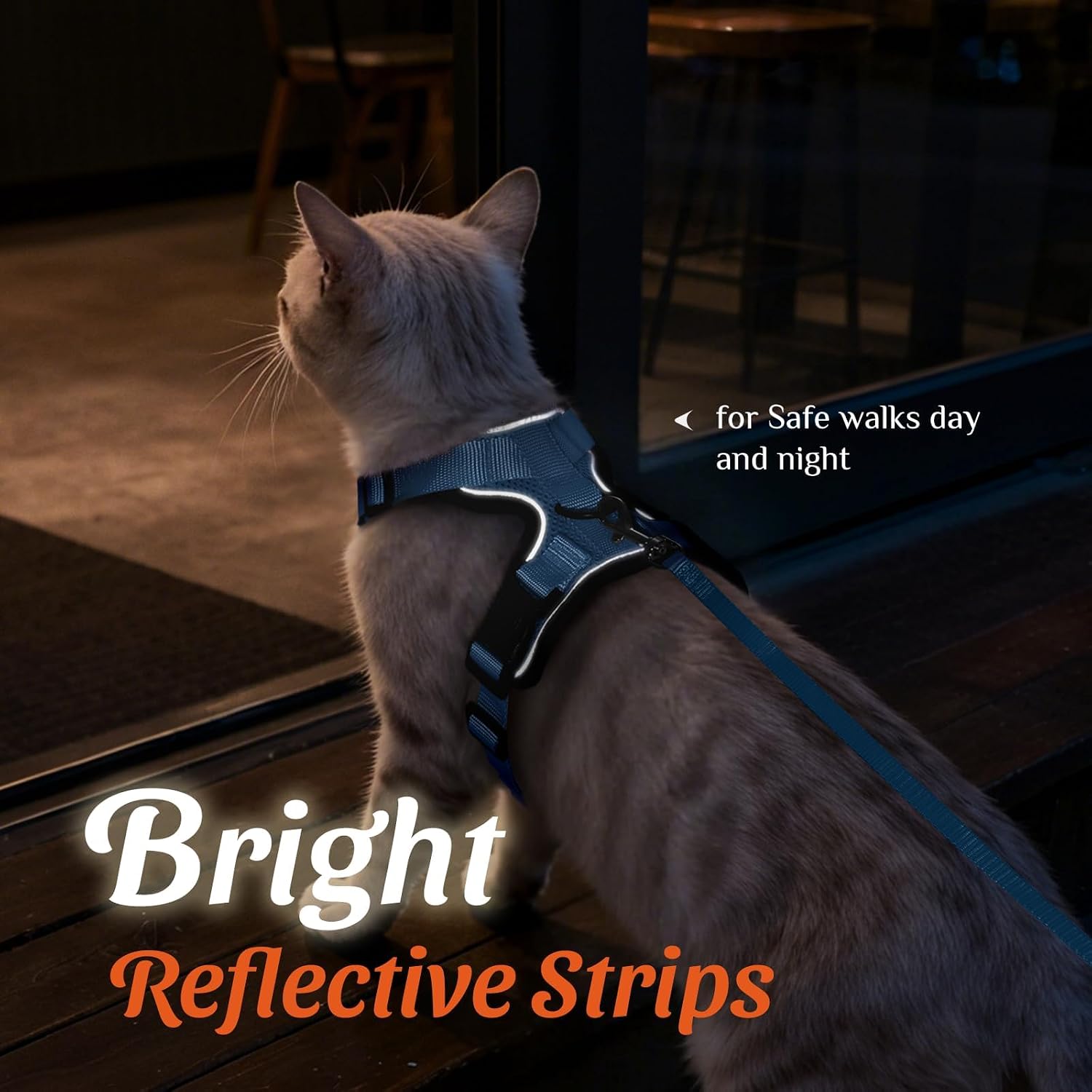 Dooradar Cat Harness and Leash Set, Adjustable and Escape Proof, S | Easy Fit, Snap Buckles, Soft Breathable Vest, Sturdy Clip, Reflective Strips, for Average Cat Walks, Light Blue - Image 5