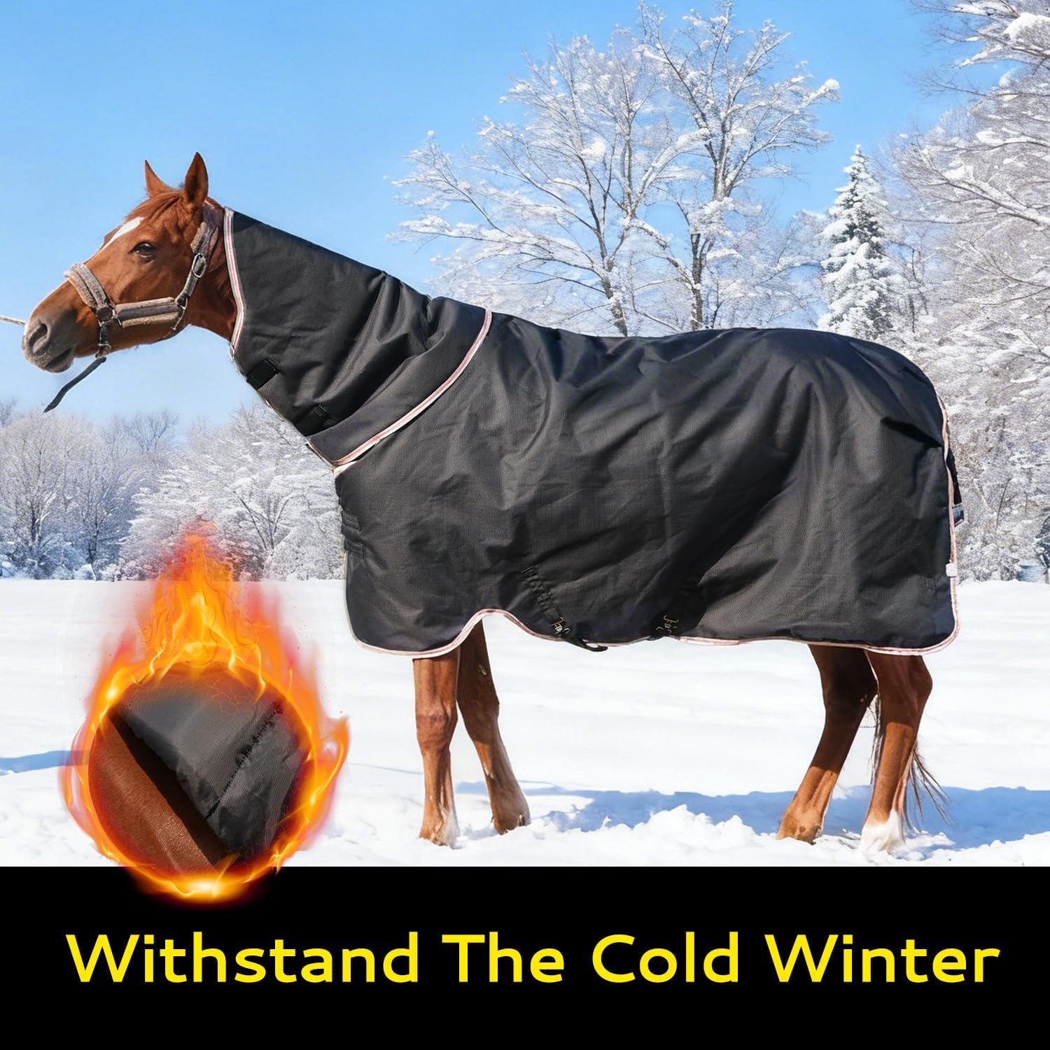 Equoray Horse Rug Fly Sheet Waterproof Rainproof Mosquito Repellent Breathable Turnout Blanket for Horses All Season Use - Multiple Sizes, Black - Image 4