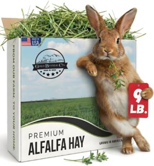 9lb Farm Fresh Alfalfa Hay for Rabb...