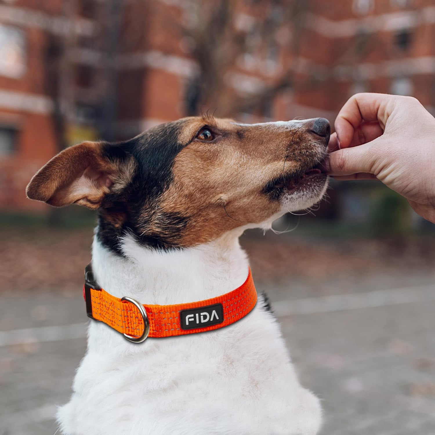 Fida Reflective Dog Collar, Nylon Dog Collars with Neon Colors for Small/Medium/Large Dogs, High Visibility Dog Collars with Safety Locking Buckle(Medium, Neon Orange) - Image 5