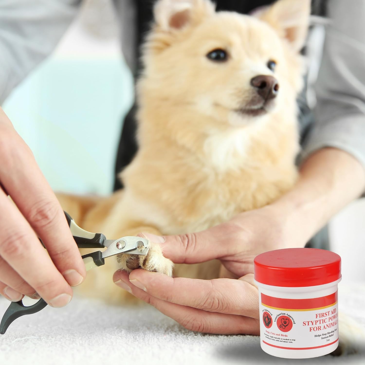 G.B.S Styptic Powder for Dogs, Cats, and Birds (1 oz) - Fast-Acting Blood Stop Powder for Pets & Animals - Quick Stop Bleeding Powder for Nail Clipping, Cuts & Grooming - Image 3