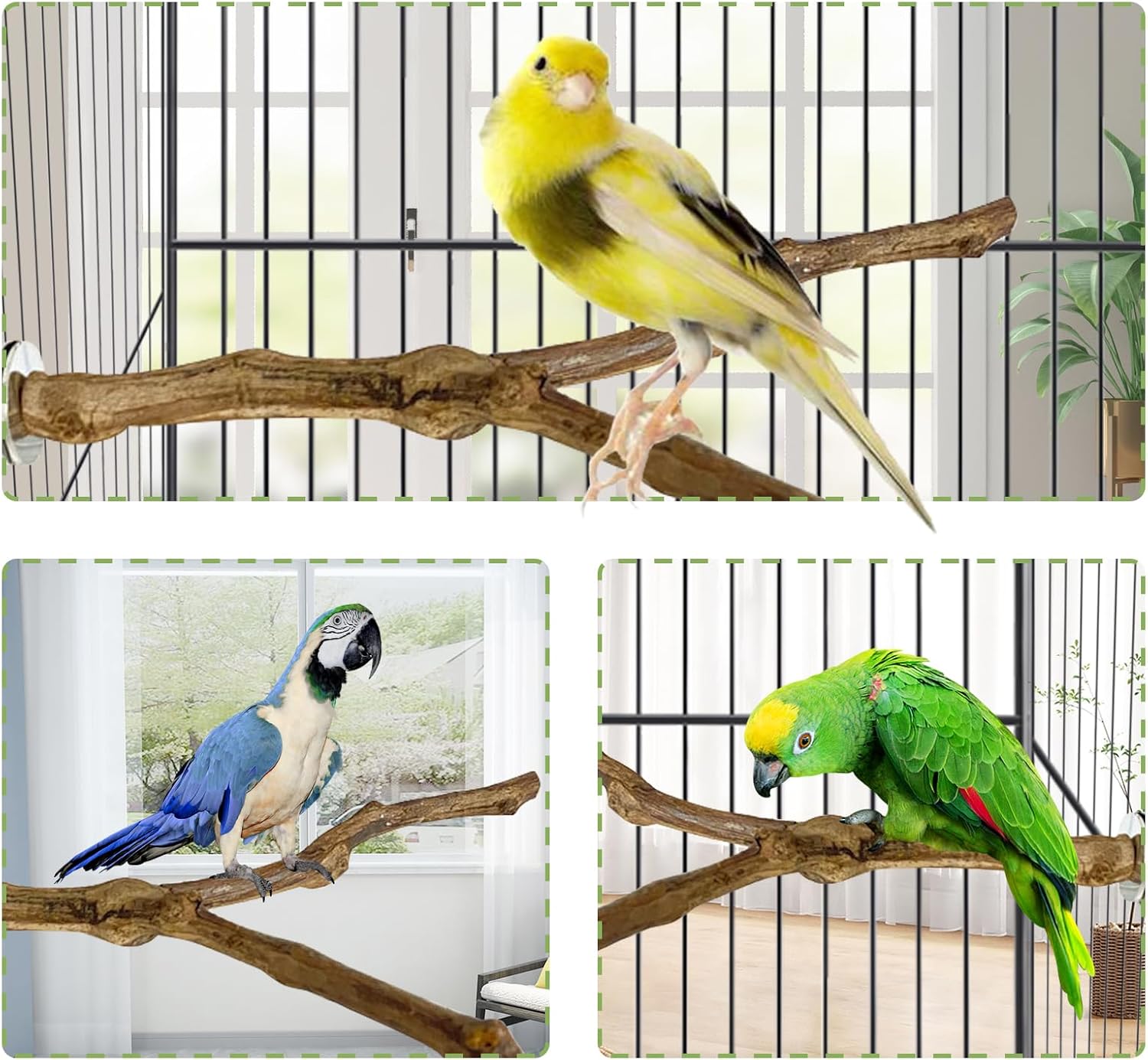 kathson Natural Parrot Perch Bird Stand Pole Wild Grape Stick Paw Grinding Fork Parakeet Climbing Standing Branches Toy Chewable Cage Accessories for Small Budgies Cockatiels Lovebirds 3PCS - Image 3