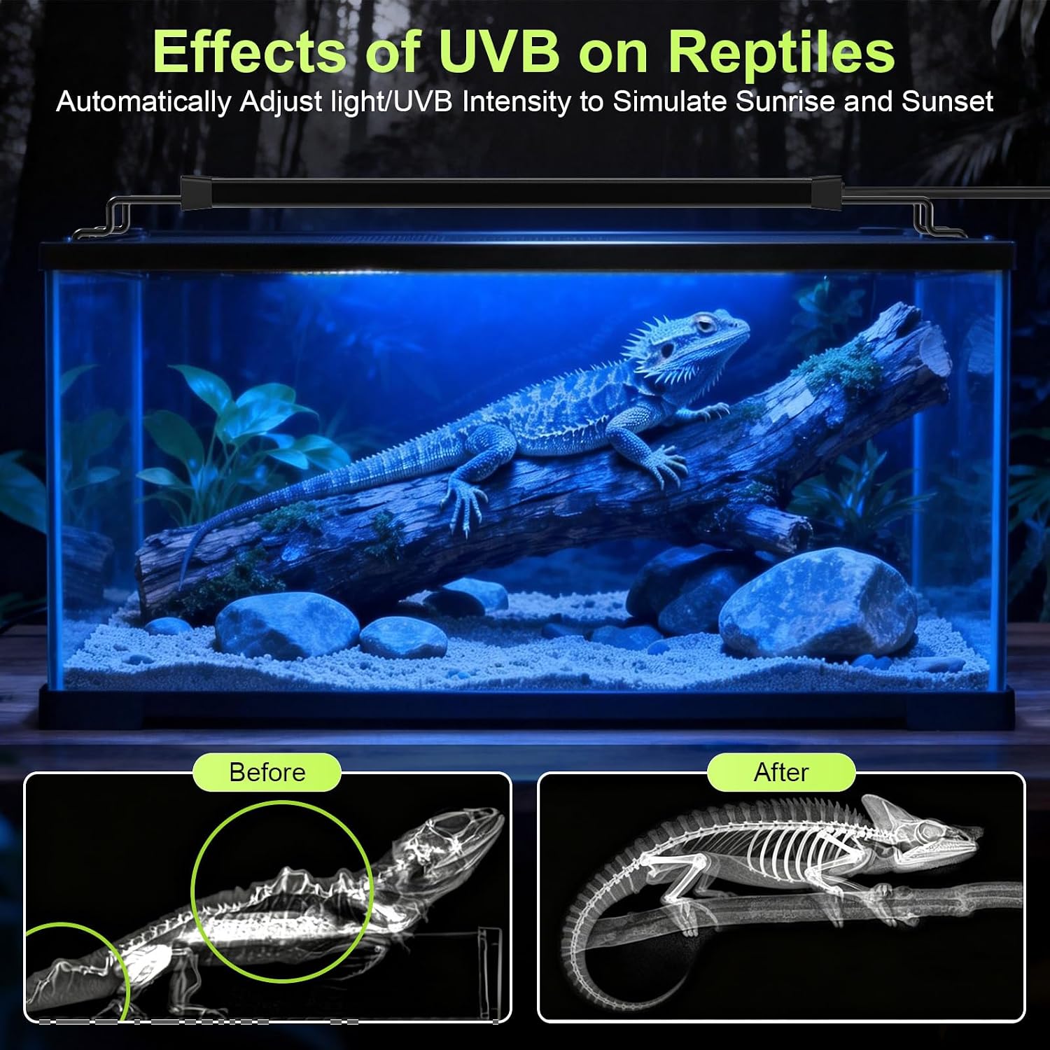 16W LED UVB Light for Reptiles Terrarium Light Extendable Reptile Tank Light with Controller &Dimming and 5 UVI Modes Full Spectrum Brilliant White Blue Red Lights for Bearded Dragon, Gecko - Image 3