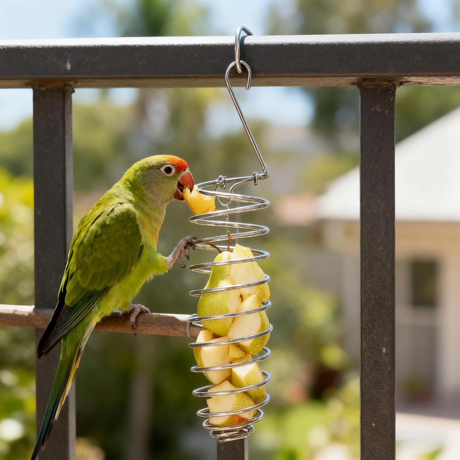Bird Foraging Toy, Steel Holder for Bird Cage Accessories Hanging Fruit Vegetable Feeder for Parrot Cage Parakeet - Image 7