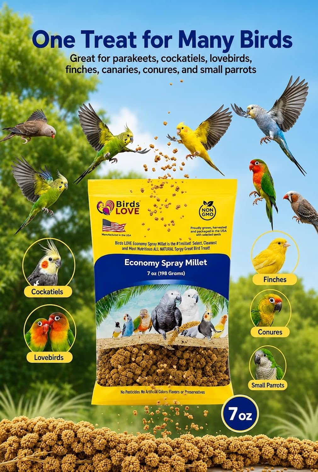 Birds LOVE® Economy Spray Millet for Birds, 7 oz, GMO-Free Natural Millet Spray Treat, Stem-Reduced Edible Tops, Grown in USA, for Parakeets, Cockatiels, Lovebirds, Finches, Canaries -Pack of 2 - Image 9