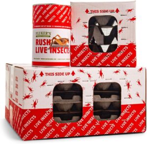 Fluker’s Live Crickets, 100 C...