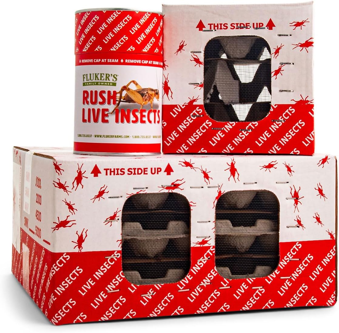 Fluker's Live Crickets, 100 Count Feeder Insects for Reptiles, Chickens, and Birds, Large (Approx. 3/4")