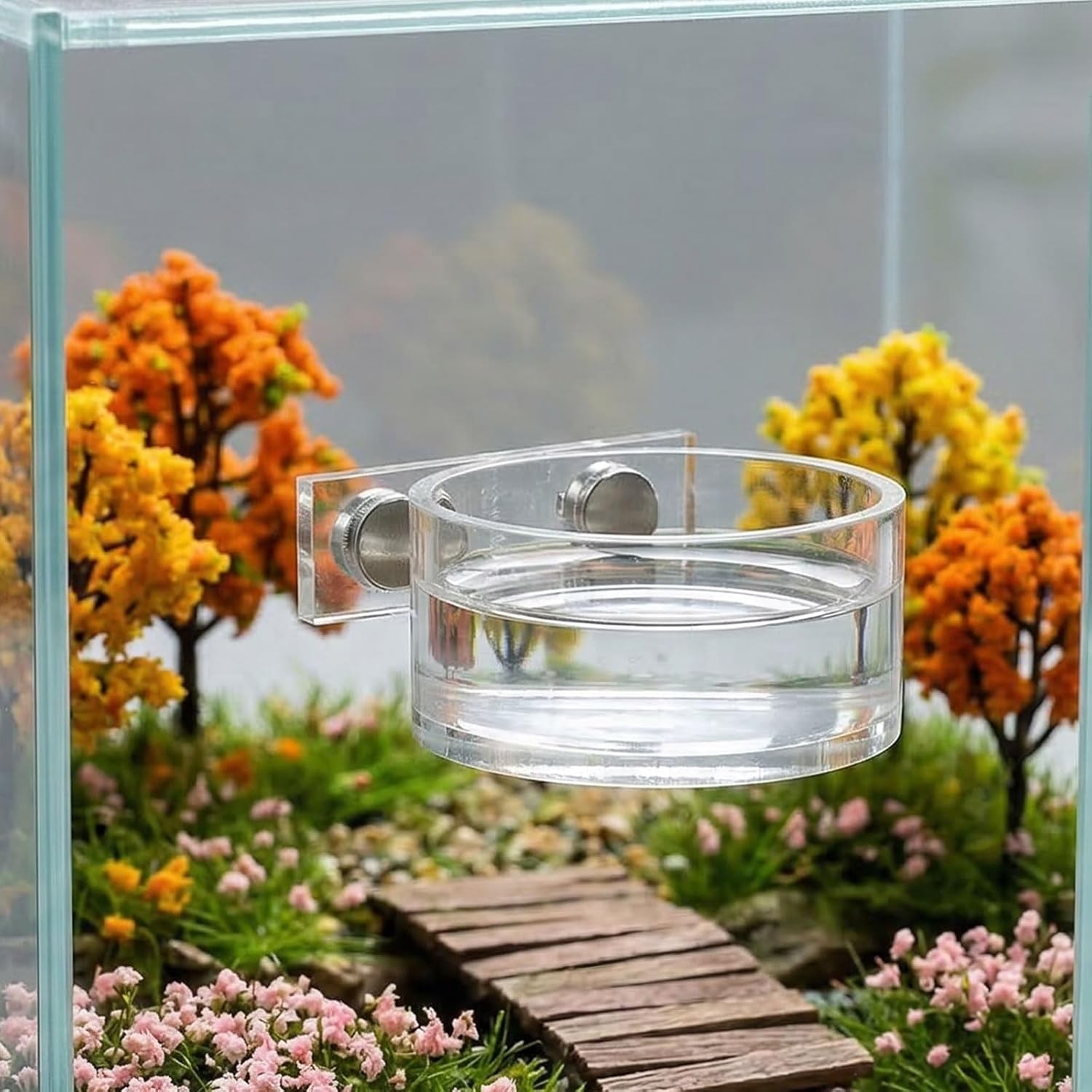 Jumping Spider Feeding Dish Set, Magnetic Water Bowl Dispenser Feeding Food Dish with Reptile Tweezers Jumping Spider Enclosure Accessories Kit for Tarantula Mantis Small Reptiles Pets - Image 4