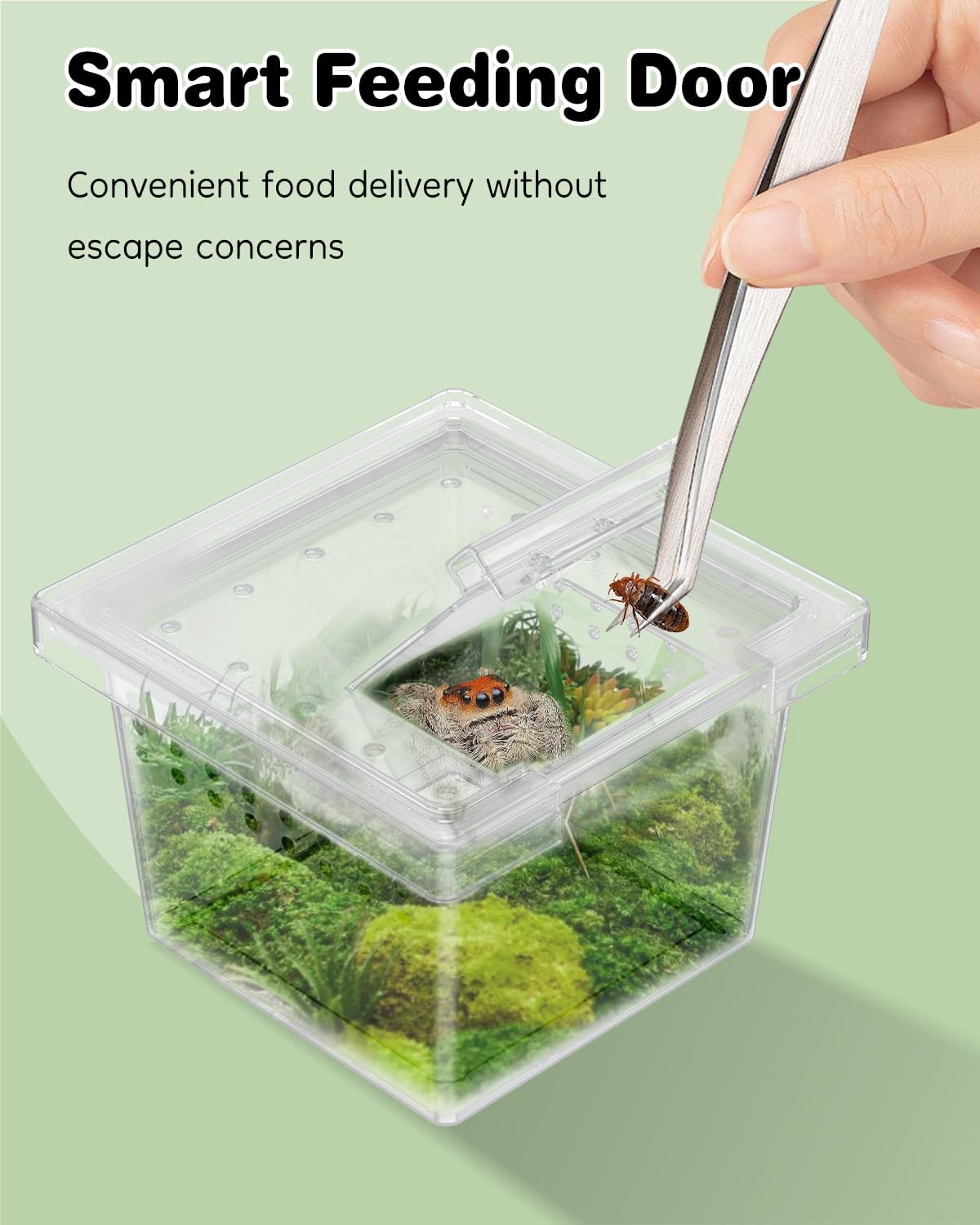 Pawfly 20 Pcs Mini Spider Terrarium Breeding Box, Transparent Plastic Jumping Spider Enclosure Cricket Keeper Tarantula Enclosure, Small Reptile Hatching Container for Scorpion Centipede Gecko Mantis - Image 4