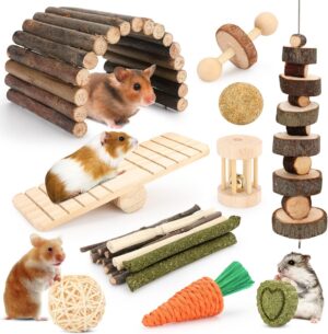 Hamster Toys Guinea Pig Toys Hamste...