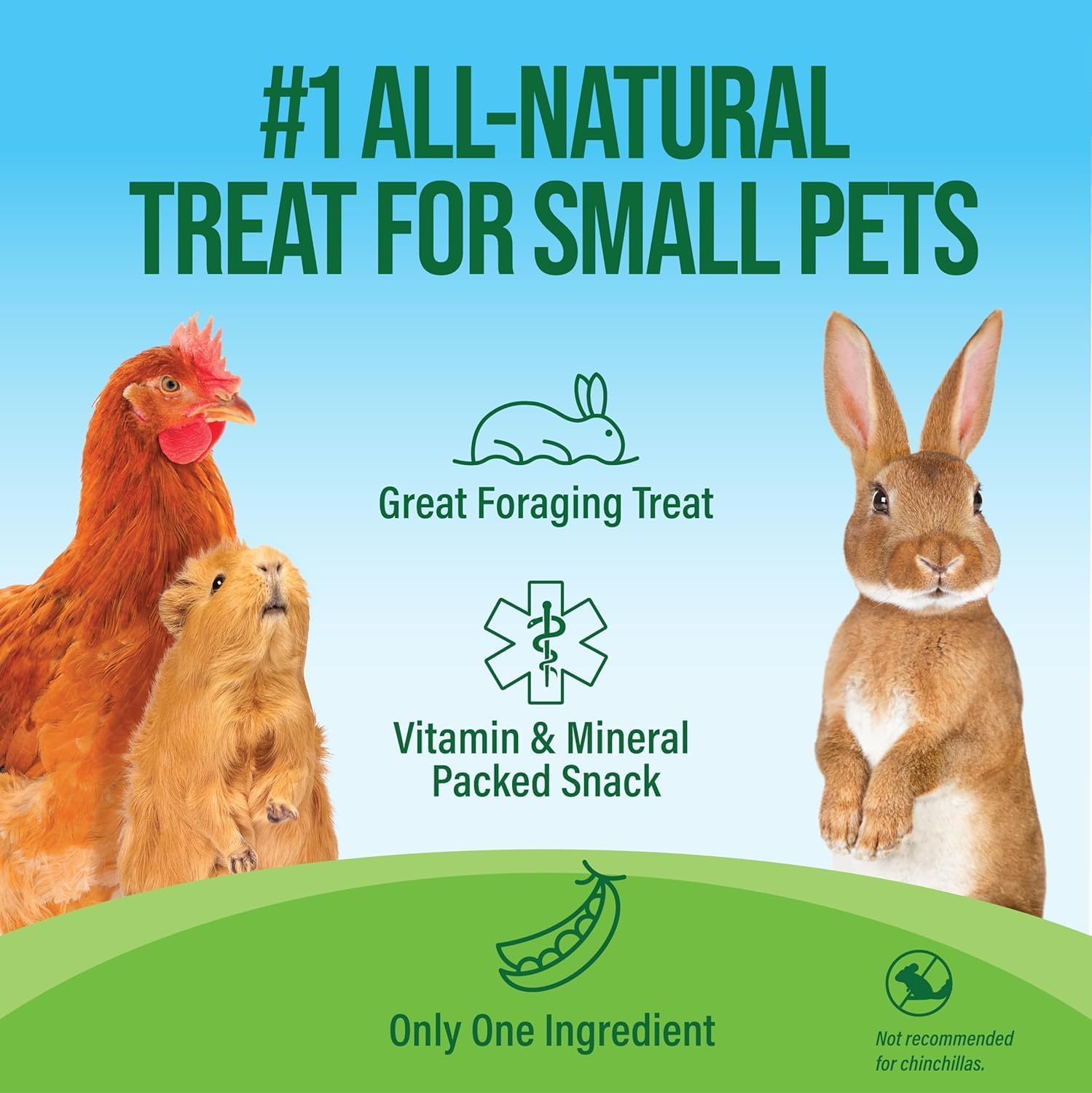 Small Pet Select - Pea Flakes, Treats for Rabbit Bunny, Guinea Pig, Chickens, Bunny, Hamster, and Other Small Pets, 2 lb (Two Pack, 1lb) - Image 2