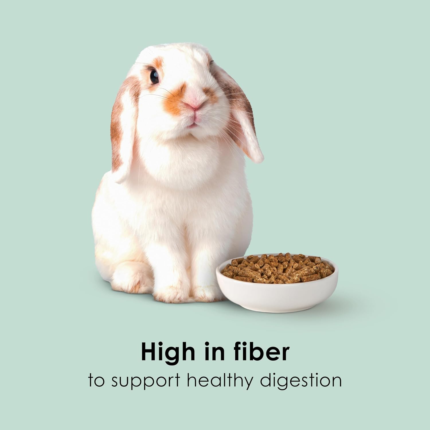 Kaytee Timothy Complete Rabbit Food, Made with Timothy Hay, High in Fiber, Supports Dental Health and Digestion, 9.5 pounds - Image 4