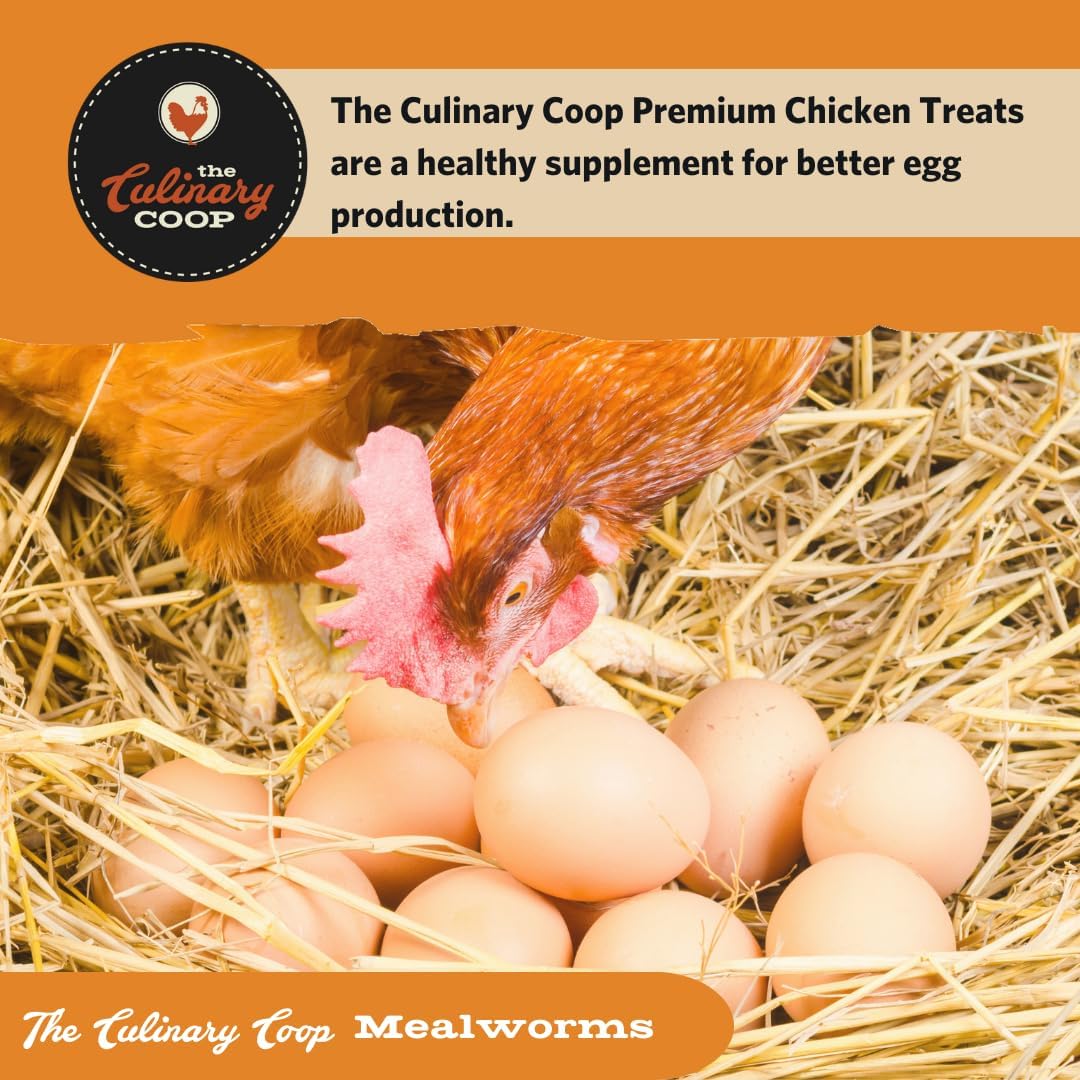 Fluker's Culinary Coop Premium Chicken Treats, Mealworms 3.5 oz, High Protein Worm, Nutritious Treat - Image 6