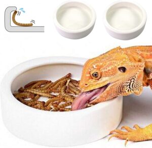 Reptile Food Dish Bowl 2Pcs Lizard ...