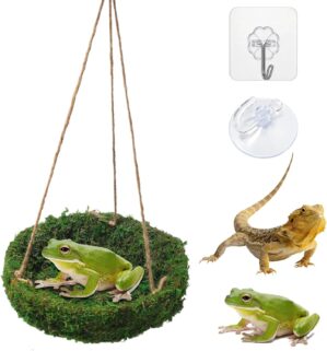Frog Reptiles Cave Hide, Green Liza...