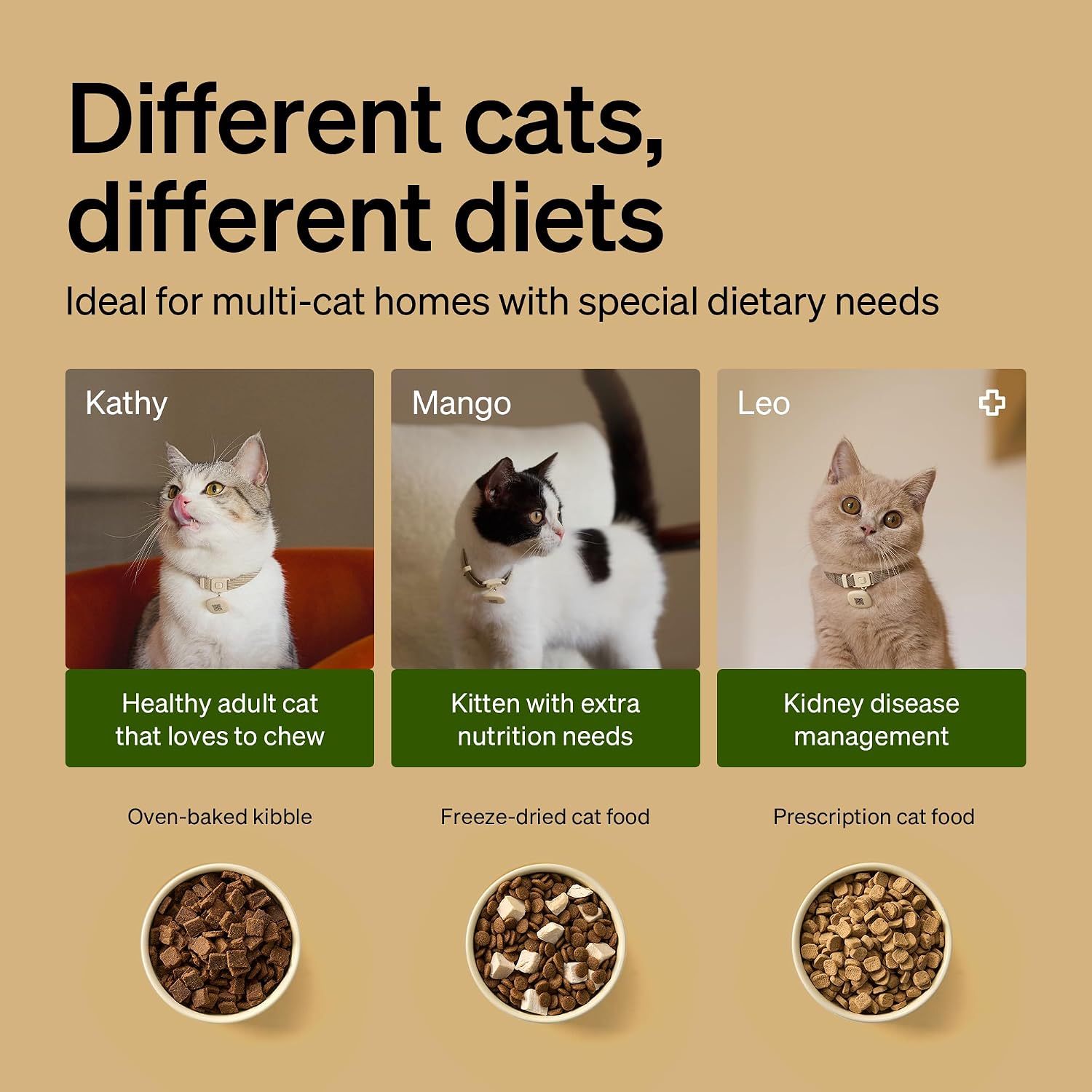 PETLIBRO RFID Automatic Cat Feeder, Collar Sensor for Personalized Meals, Cats Recognition, Diet Tracking and Anti-Stealing for Multi-Pets Homes and Different Diets, Wi-Fi Programmable Food Dispenser - Image 6
