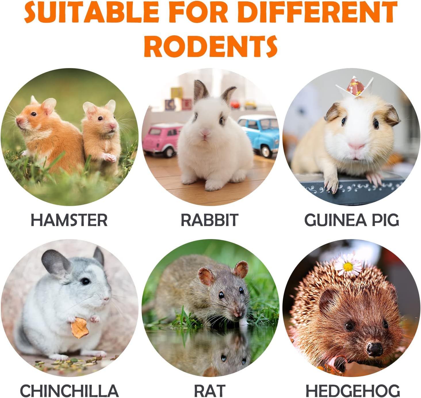 Sofier 32Pcs Timothy Hay Sticks 320g for Rabbit, Guinea Pig, Hamster - Natural Handmade Treats and Chews for Teeth - Chinchilla, Rat, Gerbil Toys - Image 6