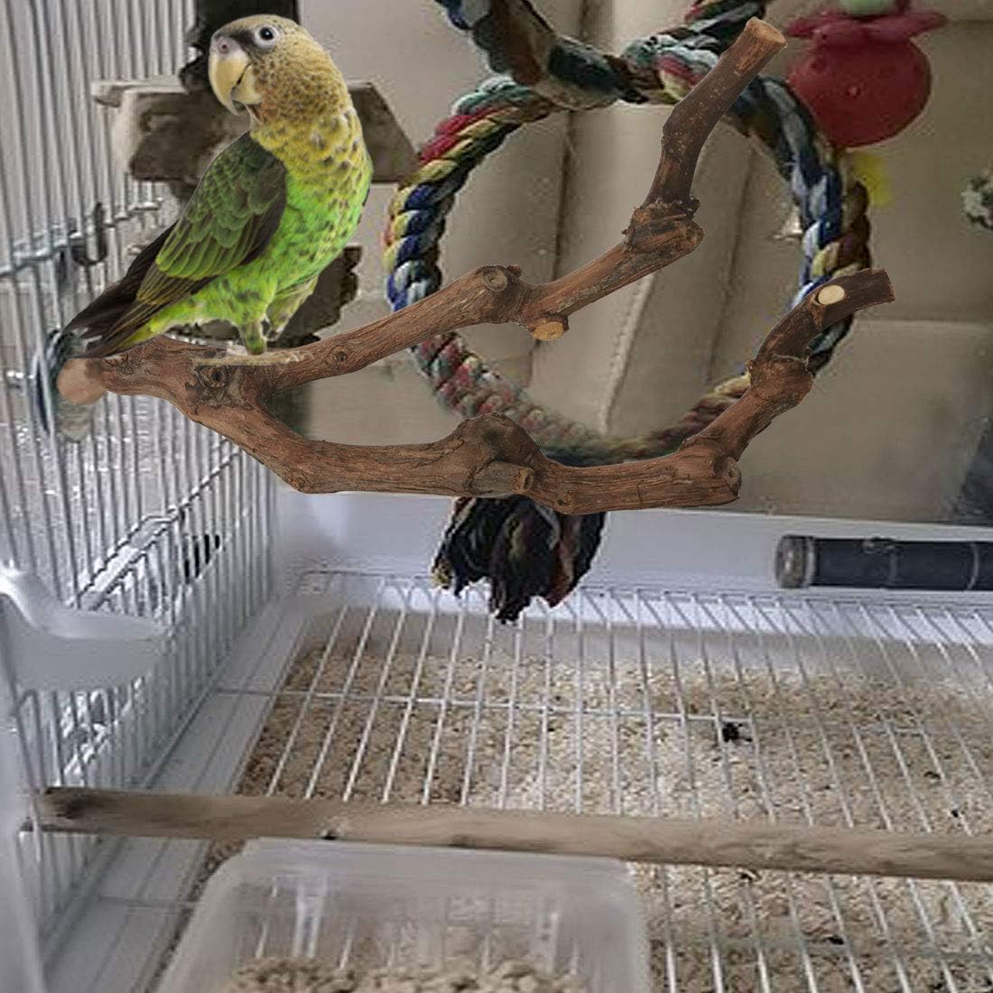 kathson Natural Parrot Perch Bird Stand Pole Wild Grape Stick Paw Grinding Fork Parakeet Climbing Standing Branches Toy Chewable Cage Accessories for Small Budgies Cockatiels Lovebirds 3PCS - Image 6
