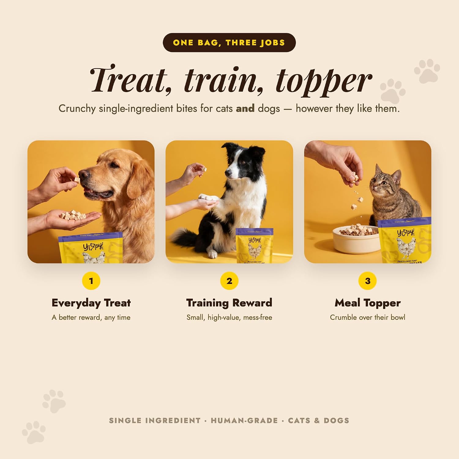 Freeze-Dried Raw Chicken Treats for Dogs and Cats, 1.76 oz | Single ingredient, grain free, high protein training treat and meal topper - Image 5