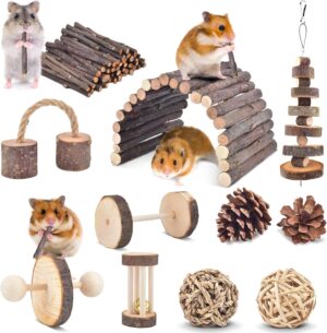 ERKOON 11 Pack Chinchillas Chew Toy...