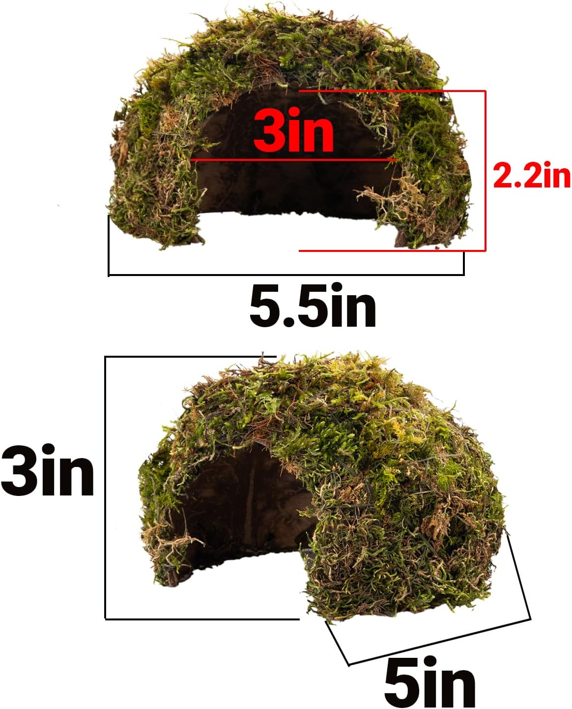 Reptile Hides and Caves – Leopard Gecko Tank Accessories, Natural Dome Reptile Cave & Shelter, Gecko Tank Accessories & Hermit Crab Shelter, Hamster Cage Accessories - Image 7