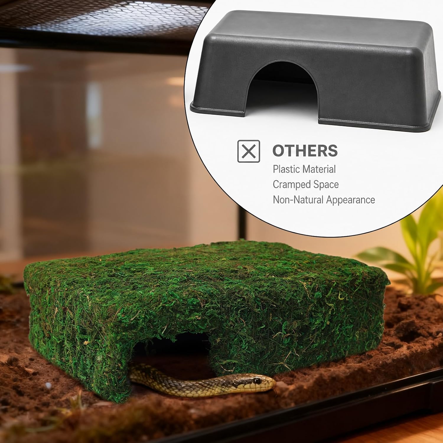 Handmade Reptile Moss Cave M, 9.4" Shelter for Gecko Hamster | Moss reptile cave hide, Smooth edges, no injury, Suitable for humid environments - Image 3