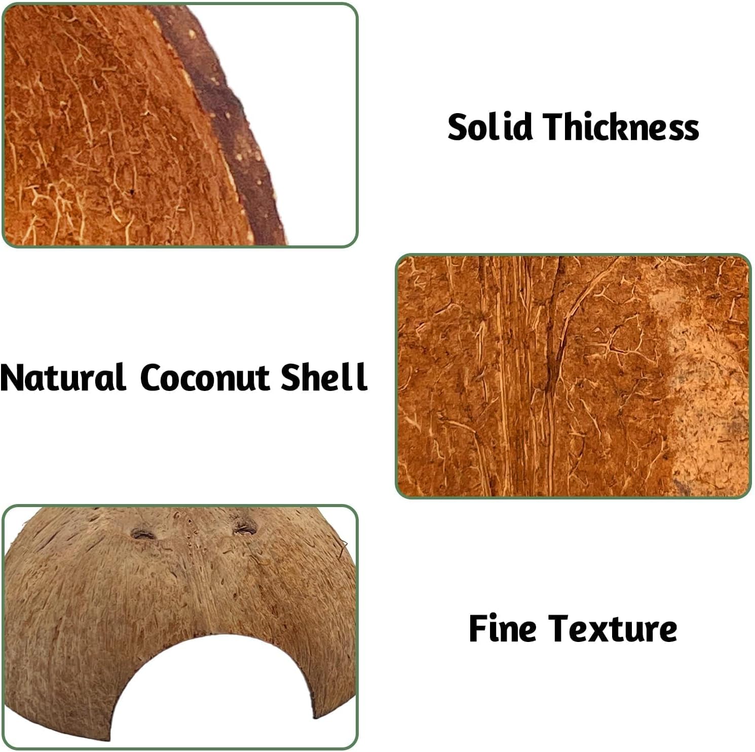 PINVNBY 2 PCS Natural Coconut Reptile Hideouts Lizard Coco Hut Hermit Crab Hut Aquarium Fish Hide Cave Spider Snail Climber Toys - Image 3