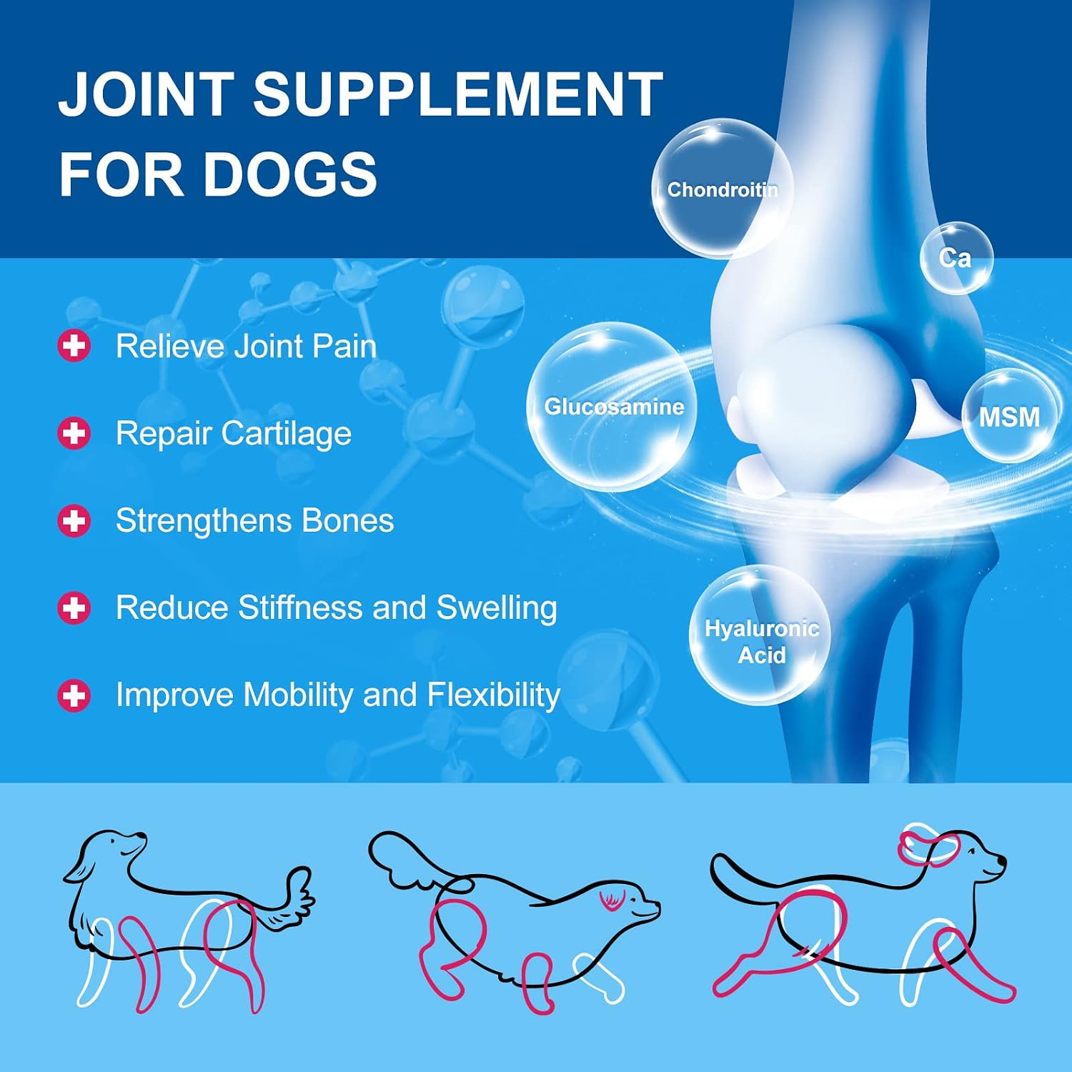 NATURE TARGET Dog Vitamins Powder, Probiotics & Digestive Enzymes for Gut Health, Glucosamine & Chondroitin & Omega 3, Complete Supplement for Homemade Dog Food, Joint & Skin & Immune Support - Image 5