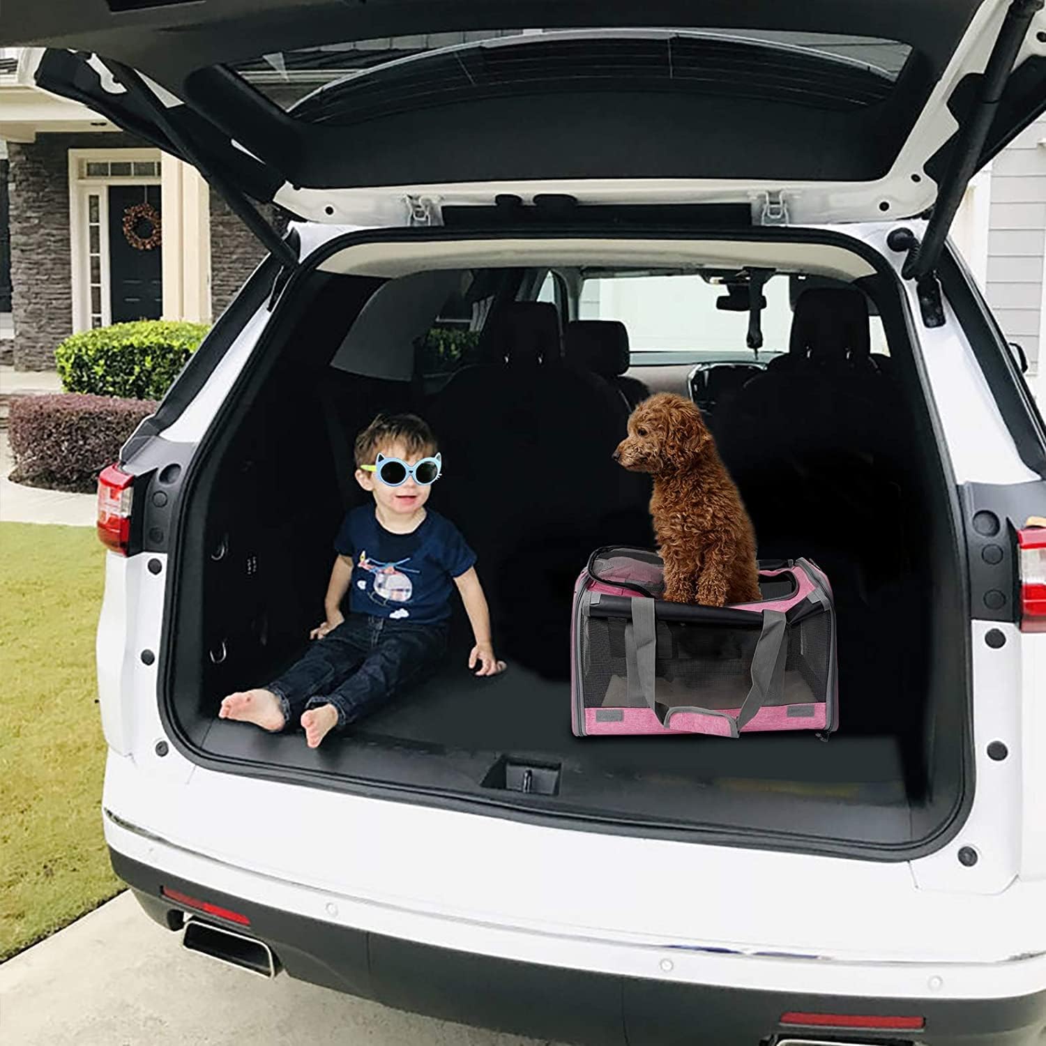 GAPZER Pet Carrier for Large and Medium Cats, Soft-Sided Pet Carrier for Big Medium Cats and Puppy Dog Carriers Cat Carriers, Pet Privacy Protection Travel Carrier - Image 7
