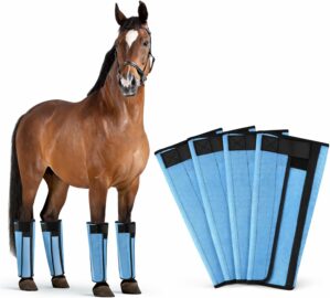 Fly Boots for Horses Set of 4, Hors...