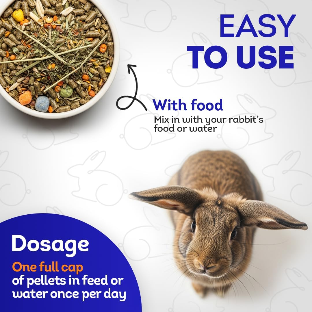 HealthyAnimals4Ever HA4E - Rabbit Respiratory Treatment - Support for Snuffles, URI & Breathing Relief - Preventive Care - Natural Homeopathic Tablets - 300 Count - Image 5
