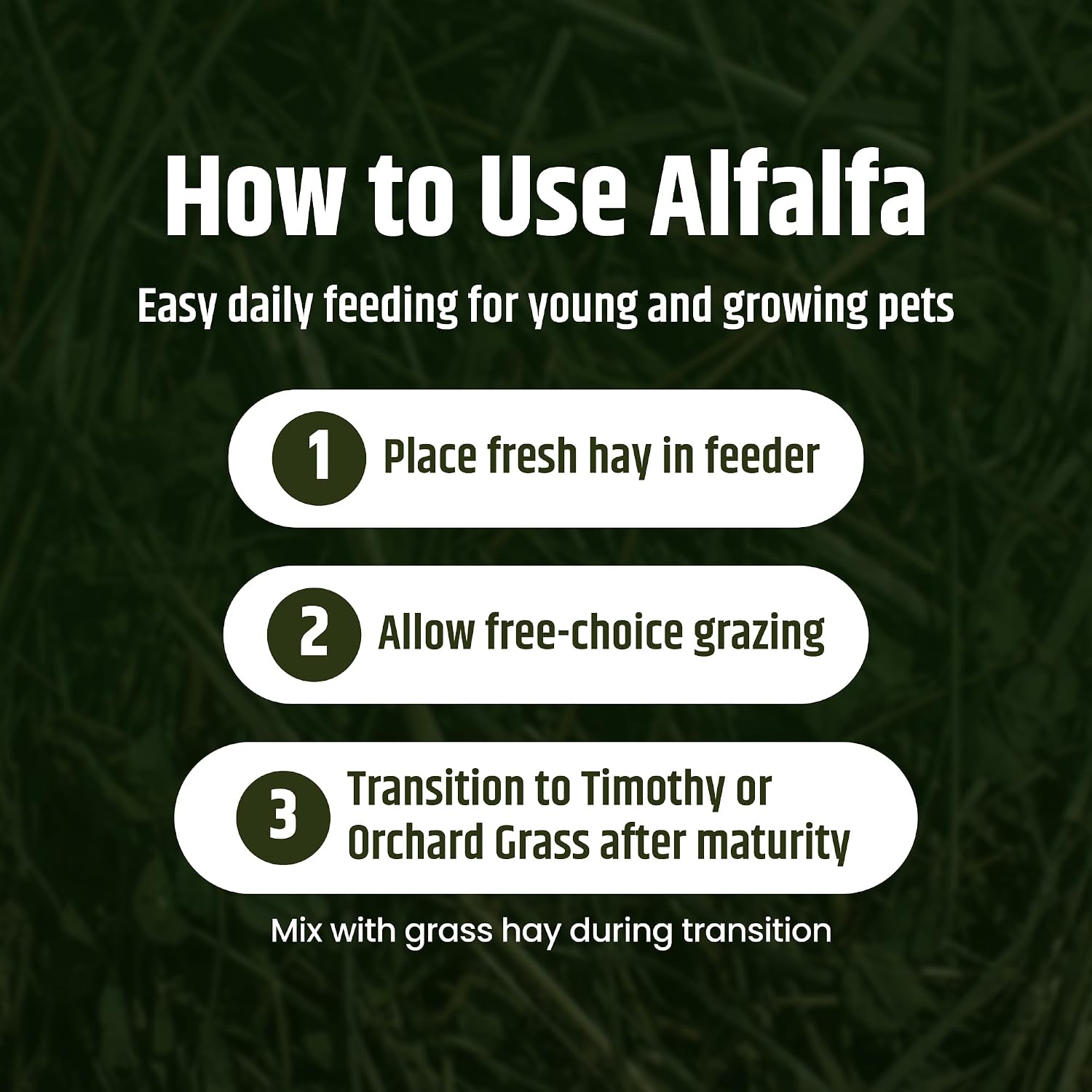 High Desert Alfalfa Hay, Protein Rich Soft Leaf Food for Young Growing Animals, Natural Rabbit Food and Guinea Pig Hay, Supports Digestive Health, Small Pet Supplies, Fresh Hand Packed 5 Lb Box - Image 7