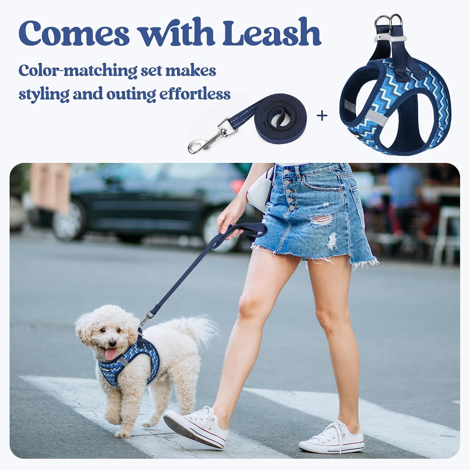 rabbitgoo Dog Harness Small Sized and Leash Set, Step in Soft Light Puppy Vest, Breathable Mesh Pet Harness, Reflective for Safe Easy Walking, Blue Zigzag S - Image 6