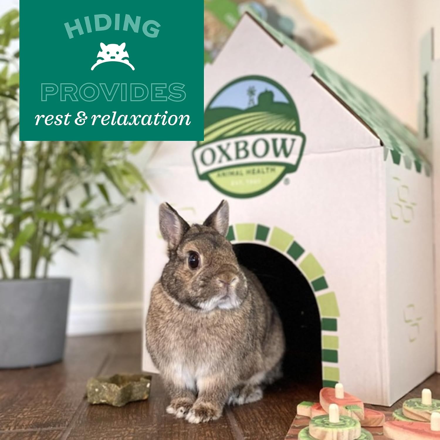 Oxbow Timothy Hay Tunnel, Guinea Pig Hideout, Rabbit & Bunny Tunnel, Edible & Hand-Woven Guinea Pig House, No Wires or String, Small Pet Accessories, for Rabbits, Chinchillas & Rats - Image 7