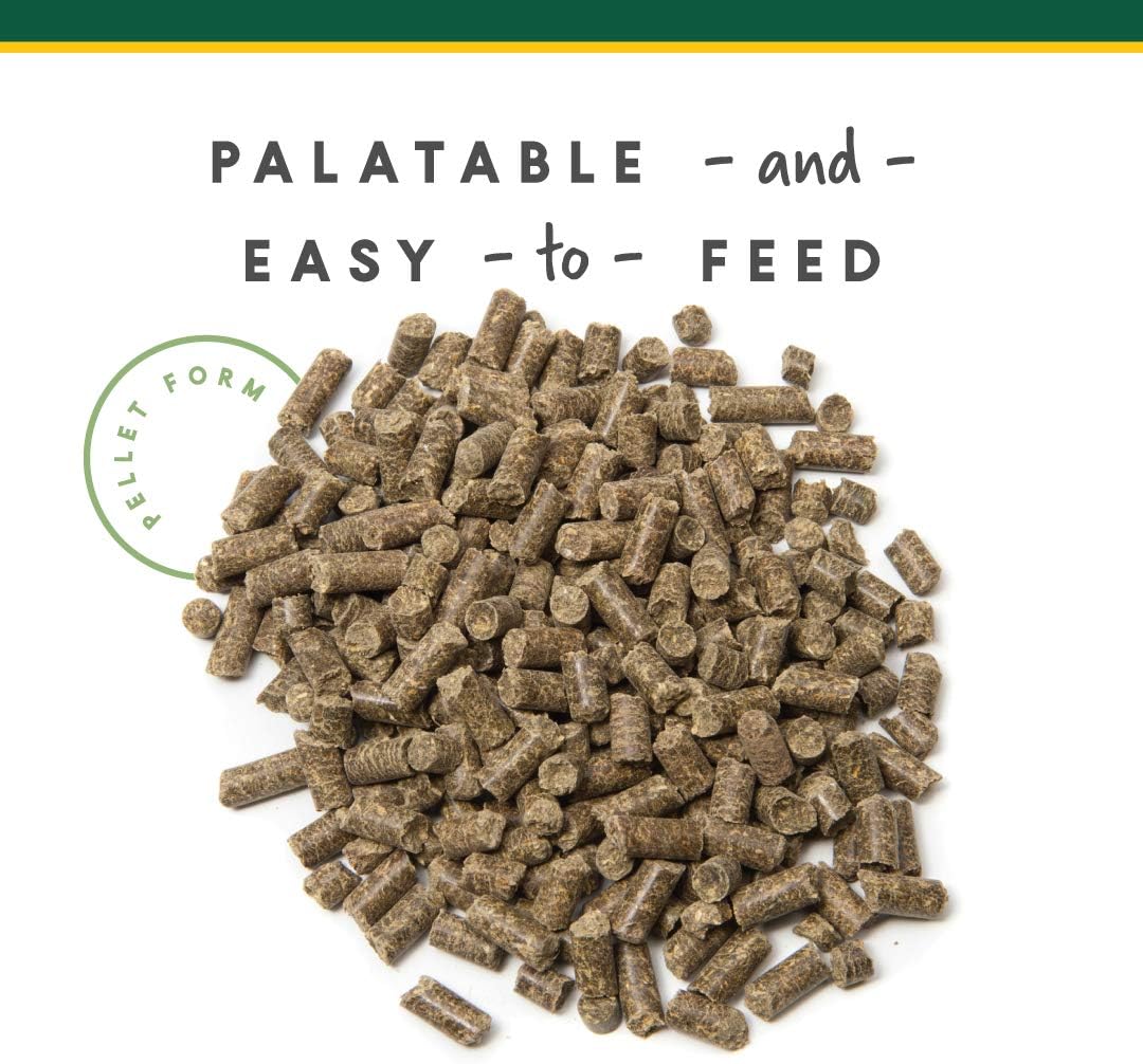 Corta-Flx U-Gard Pellets for Horses – Equine Digestive Health Supplement for Ulcer Prevention and Gastric Support – Nutritional Formula for Gut Health and Comfort – 10 lb Bucket - Image 6
