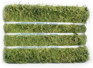 Border Valley Alfalfa Hay Bale in B...