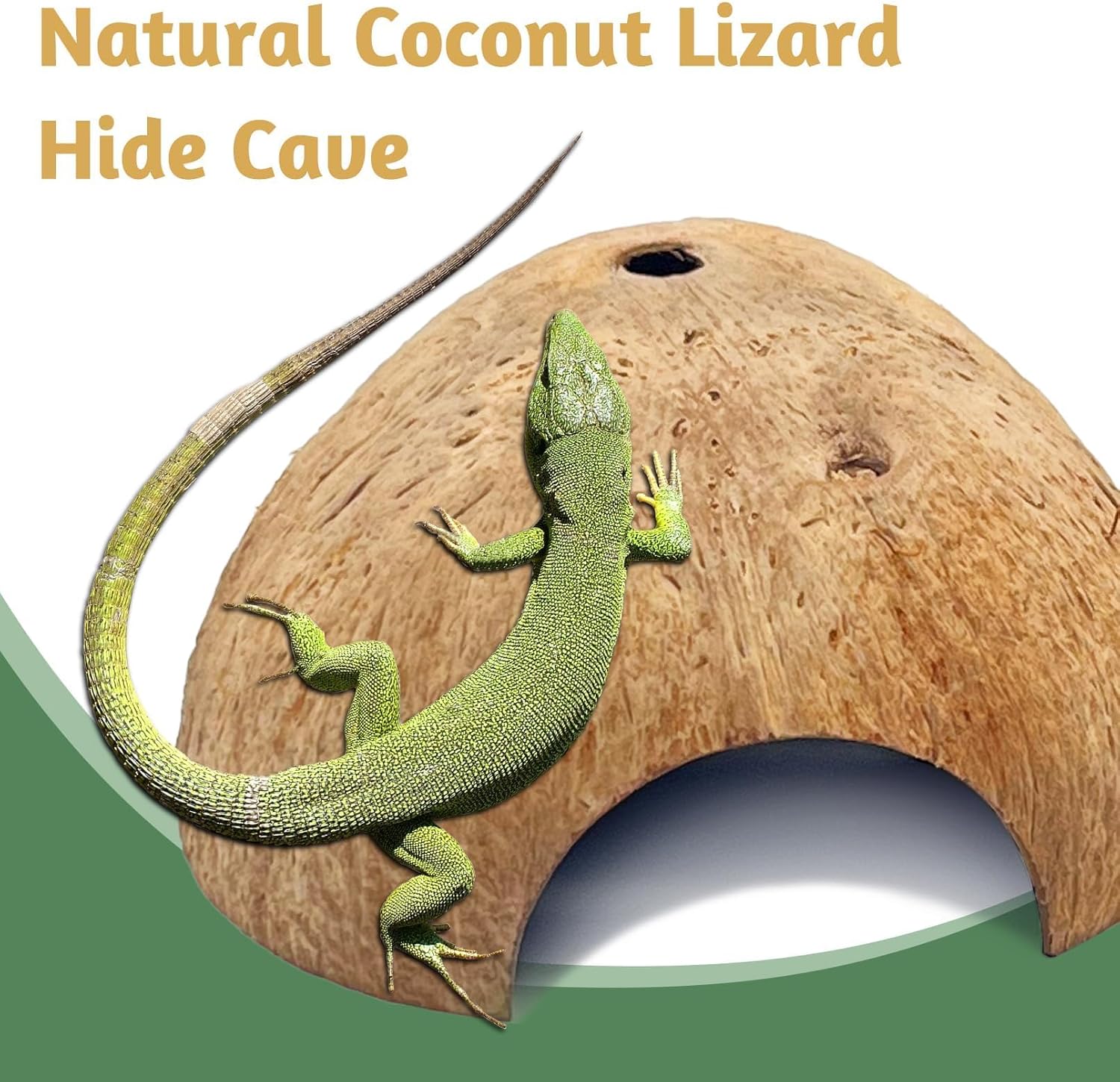 PINVNBY 2 PCS Natural Coconut Reptile Hideouts Lizard Coco Hut Hermit Crab Hut Aquarium Fish Hide Cave Spider Snail Climber Toys - Image 6