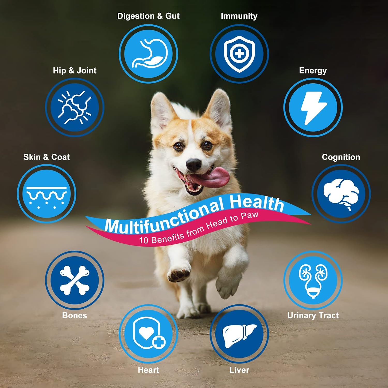 NATURE TARGET Dog Vitamins Powder, Probiotics & Digestive Enzymes for Gut Health, Glucosamine & Chondroitin & Omega 3, Complete Supplement for Homemade Dog Food, Joint & Skin & Immune Support - Image 3